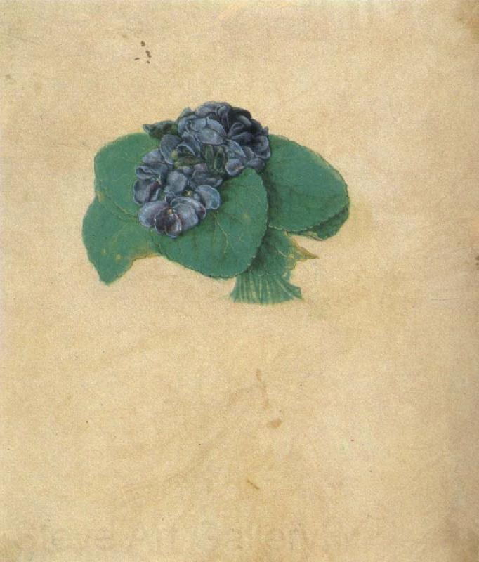 Albrecht Durer A Nosegay of Violets